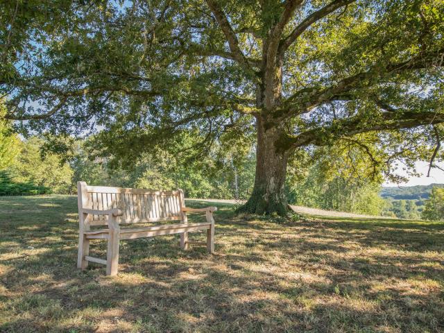 Ambiance / plan rapproché