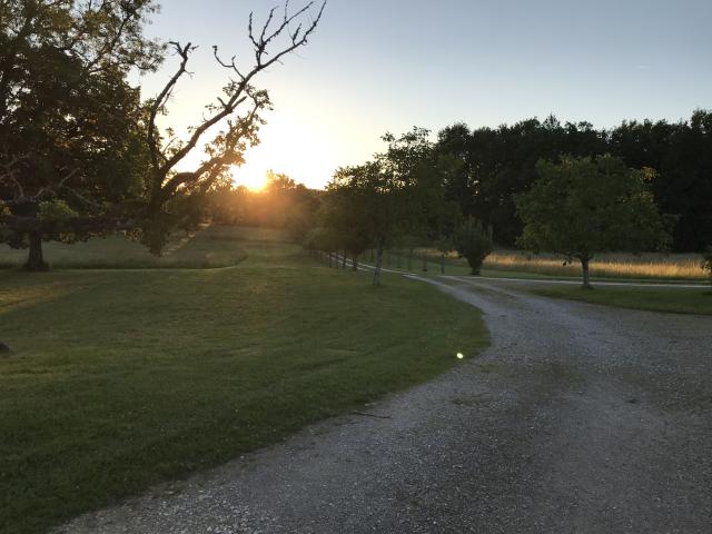View from Holiday Home [summer]