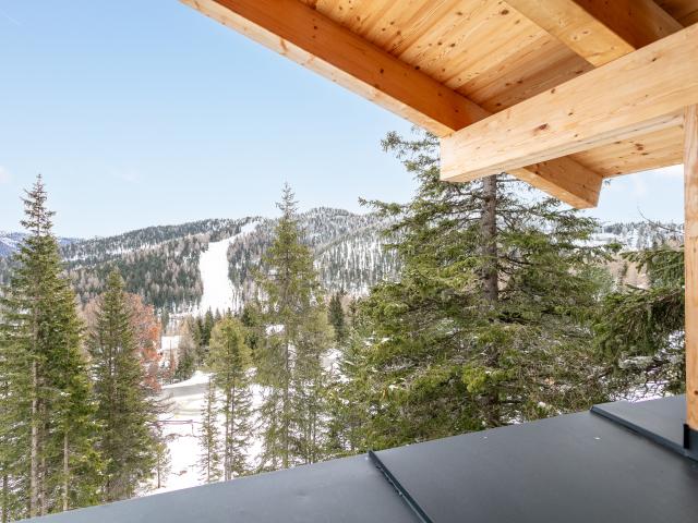 Vue de la maison de vacances [hiver]