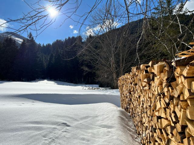 Immediate Surroundings (<1 km)