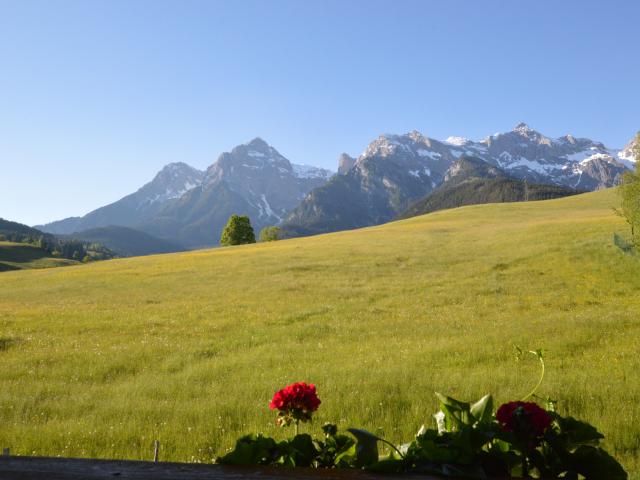 Aussicht vom Ferienhaus