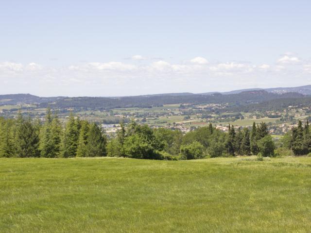 Directe omgeving (<1 km)