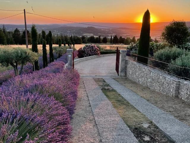 Directe omgeving (<1 km)