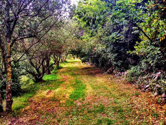 Immediate Surroundings (<1 km)