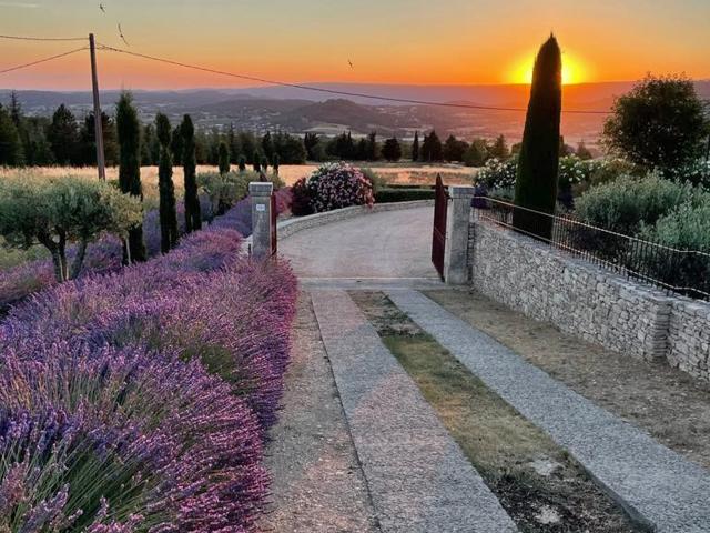 View from Holiday Home