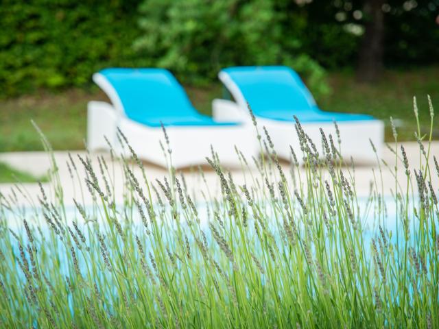 Holiday Home Swimming Pool