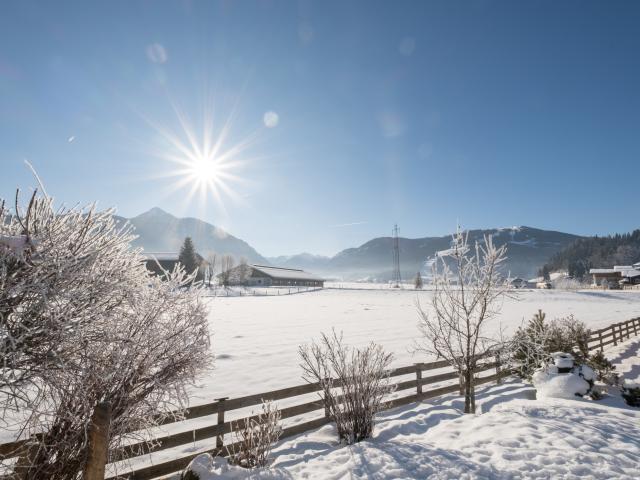 Directe omgeving (<1 km)