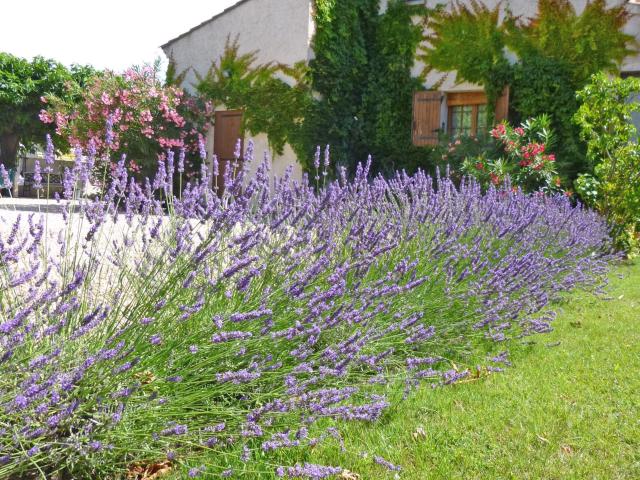 Uitzicht van vakantiehuis