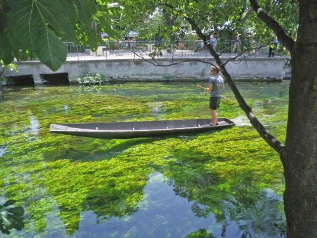Directe omgeving (<1 km)