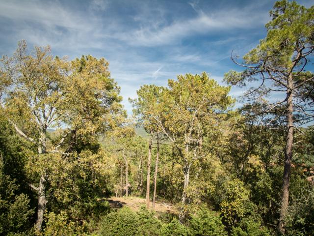 View from Holiday Home