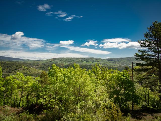 View from Holiday Home [summer]