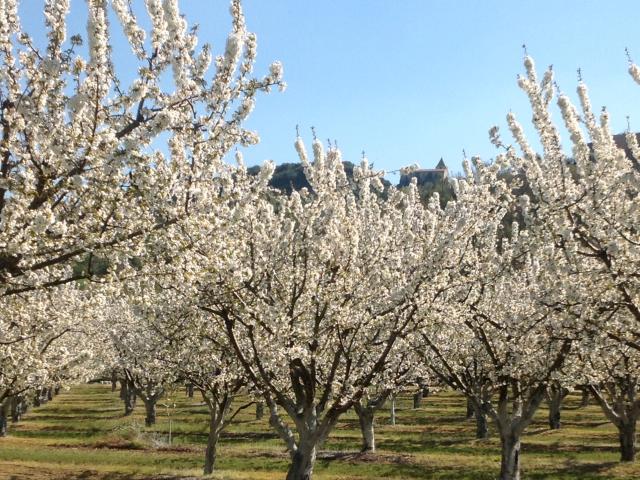 Surroundings [summer] (1-5 km)