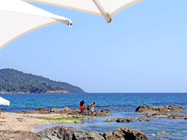 Surroundings (1-5 km)