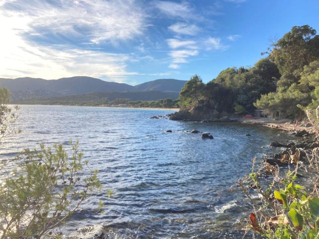 Immediate Surroundings (<1 km)