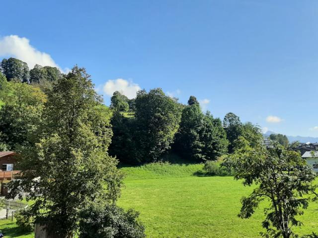 Aussicht vom Ferienhaus