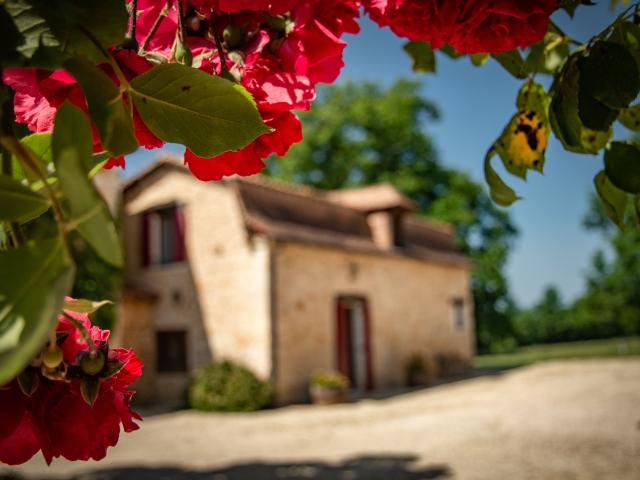 Außenseite Ferienhaus [Sommer]