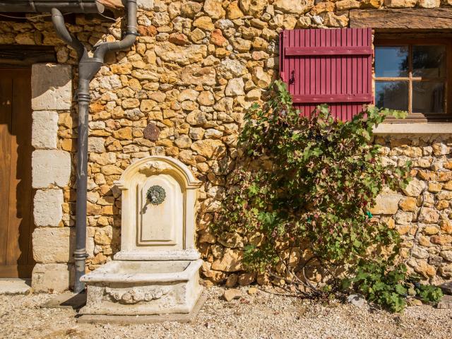 Ambiente / Nahaufnahme