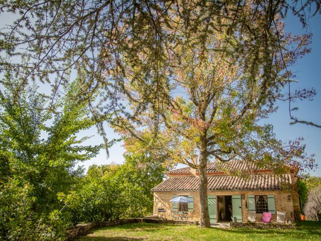 Außenseite Ferienhaus [Sommer]