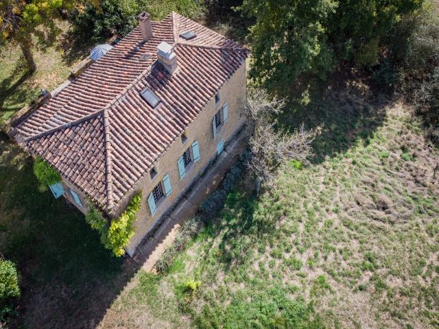 Außenseite Ferienhaus [Sommer]