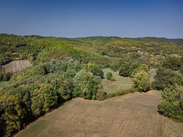 Direkte Umgebung [Sommer] (<1 km)