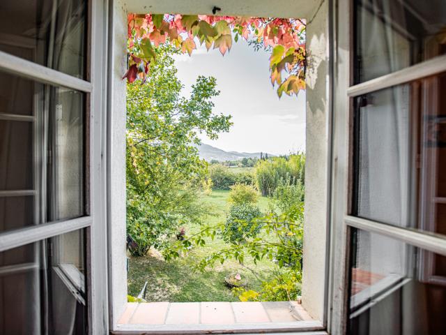 Aussicht vom Ferienhaus [Sommer]