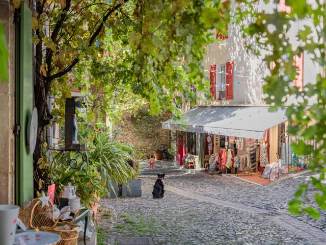 Umgebung [Sommer] (1-5 km)