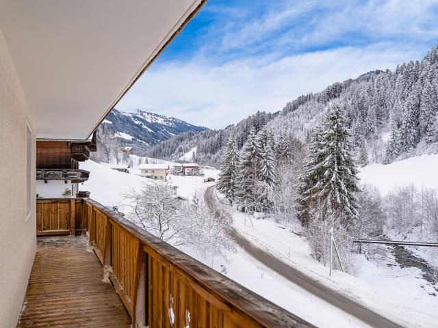 View from Holiday Home [winter]