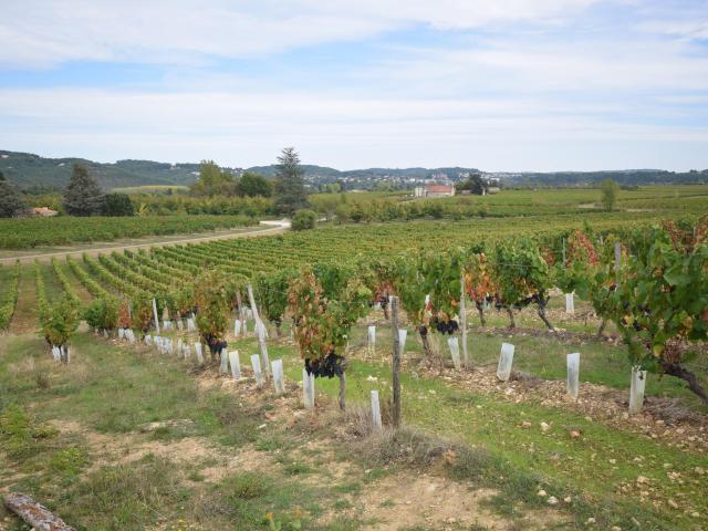 View from Holiday Home [summer]