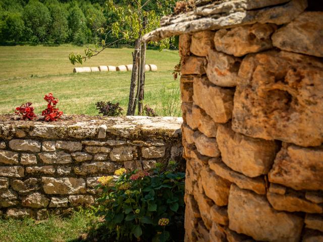 Ambiente / Nahaufnahme