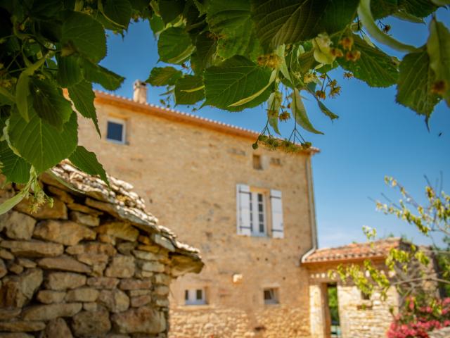 Außenseite Ferienhaus [Sommer]