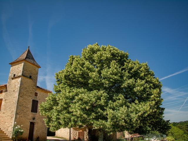 Außenseite Ferienhaus [Sommer]