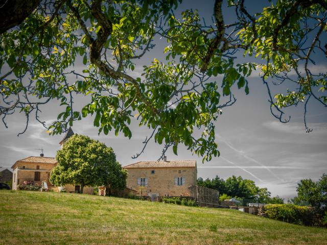 Außenseite Ferienhaus [Sommer]