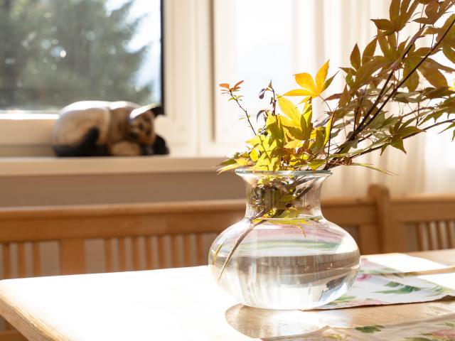 Ambiente / Nahaufnahme