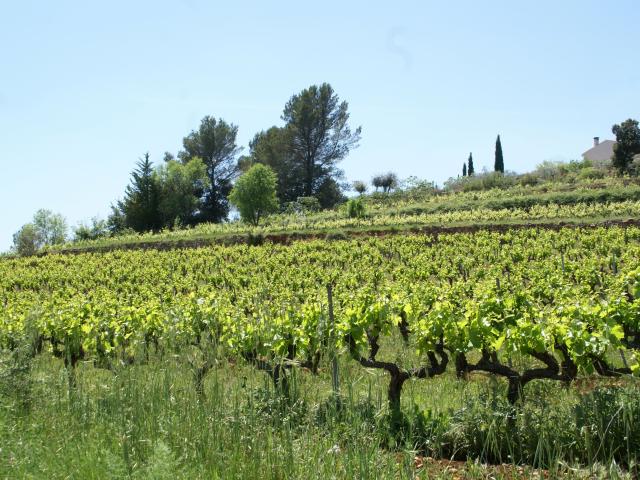 Immediate Surroundings [summer] (<1 km)