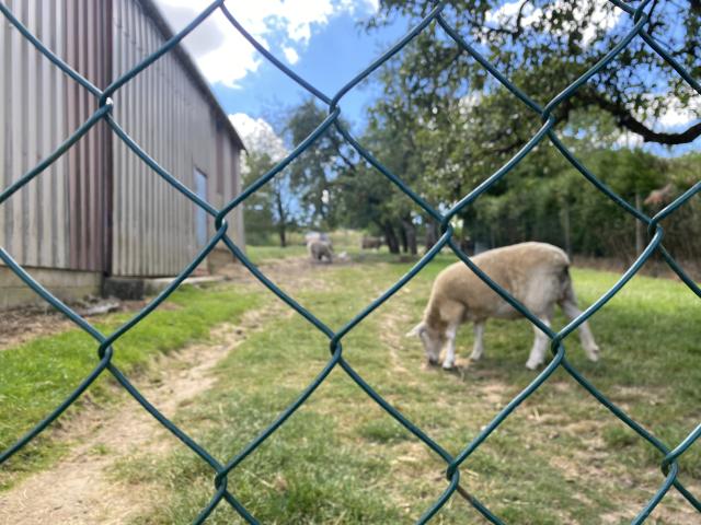 Aussicht vom Ferienhaus [Sommer]