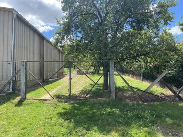 Aussicht vom Ferienhaus [Sommer]