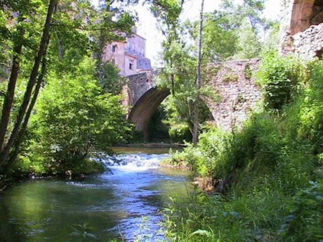 Region [summer] (>5 km)