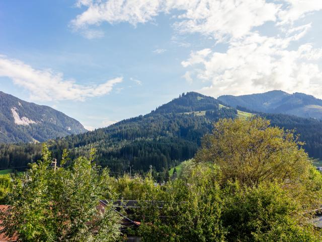 Surroundings [summer] (1-5 km)