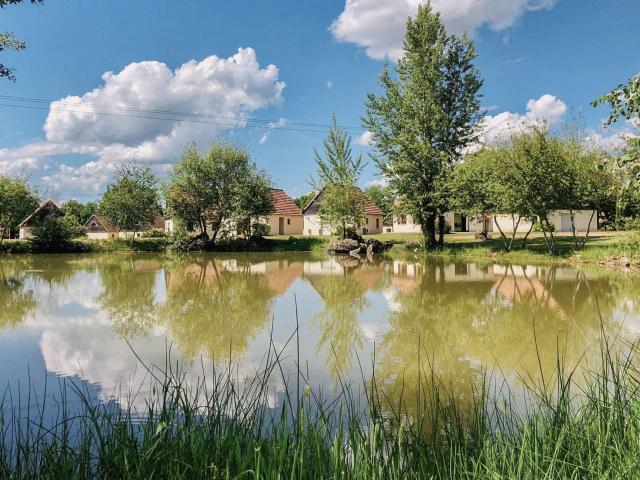 View from Holiday Home [summer]