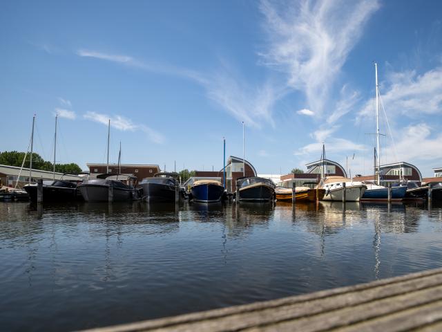 Aussicht vom Ferienhaus [Sommer]