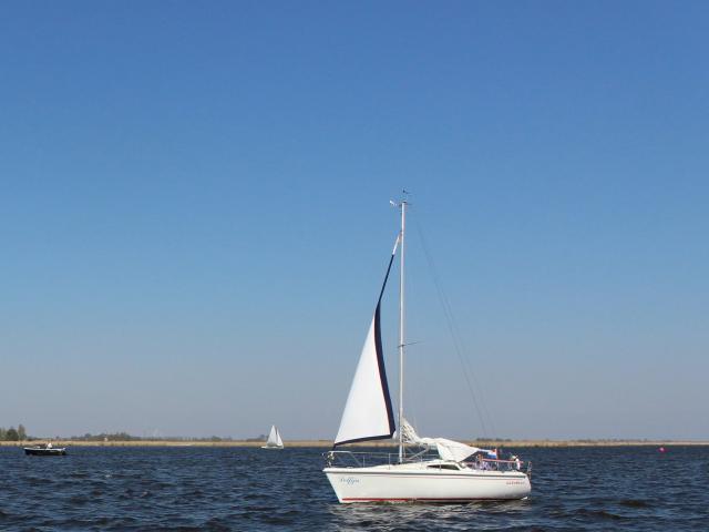 Direkte Umgebung [Sommer] (<1 km)