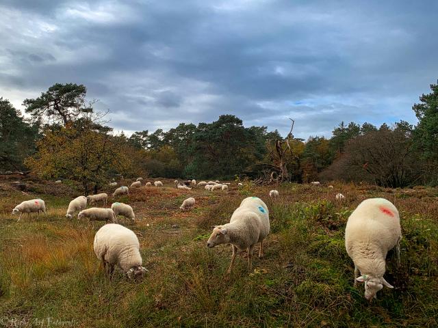 Omgeving [zomer] (1-5 km)