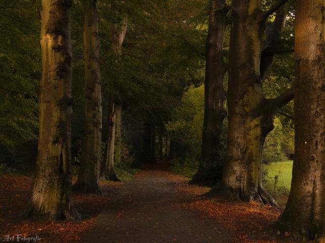 Omgeving [zomer] (1-5 km)