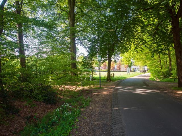 Directe omgeving (<1 km)