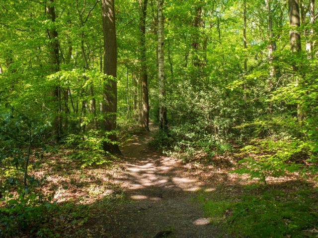 Directe omgeving (<1 km)