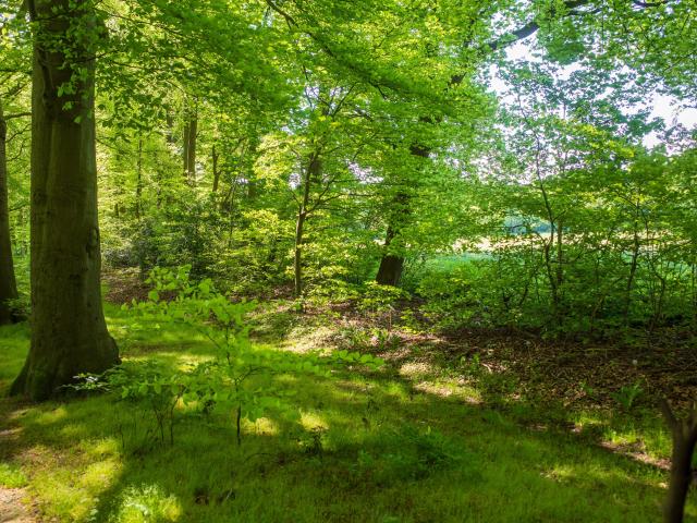 Directe omgeving (<1 km)