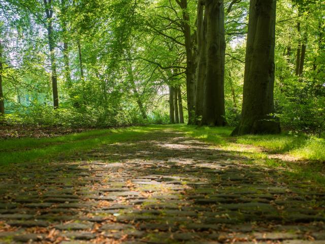 Directe omgeving (<1 km)