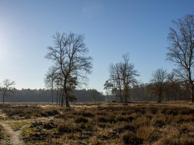 Omgeving [zomer] (1-5 km)