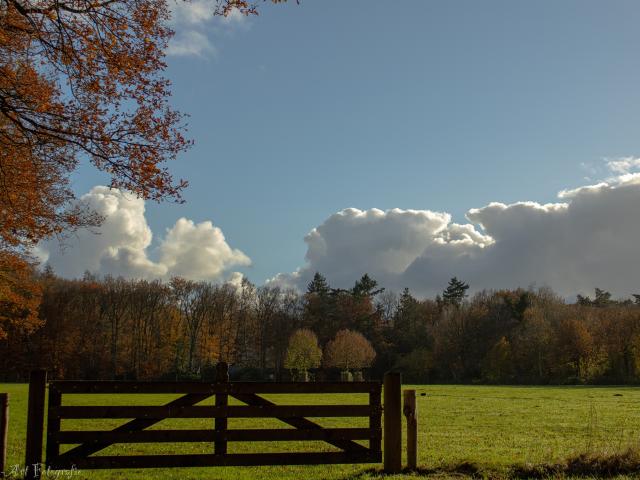 In de regio [zomer] (>5 km)