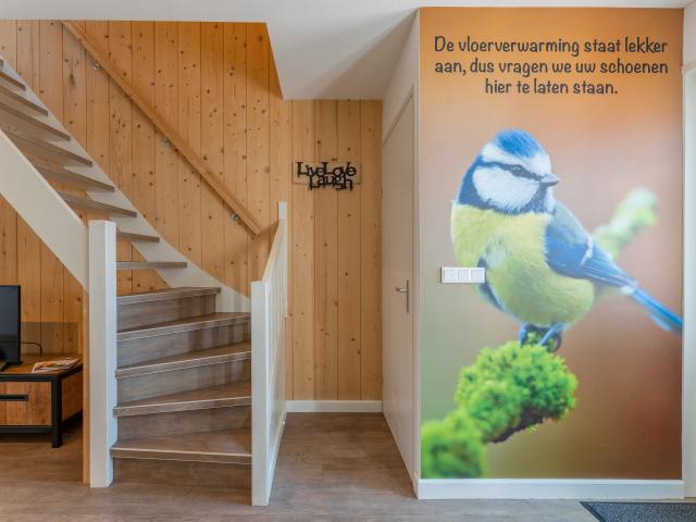 Ambiente / Nahaufnahme